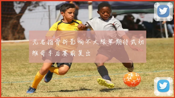 无名指骨折影响不大绿军期待武切维奇季后赛前复出