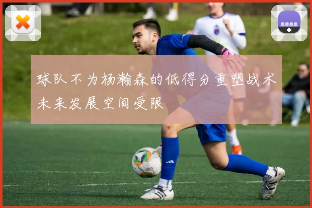 球队不为杨瀚森的低得分重塑战术未来发展空间受限