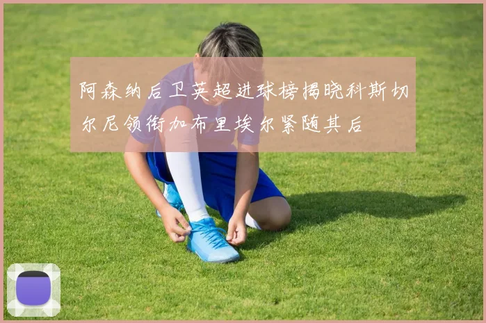 阿森纳后卫英超进球榜揭晓科斯切尔尼领衔加布里埃尔紧随其后
