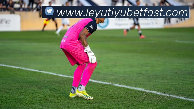 乐鱼体育品牌故事