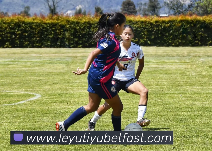 乐鱼体育服务体系